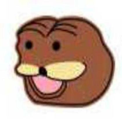 SHITCOREDEBILAS
