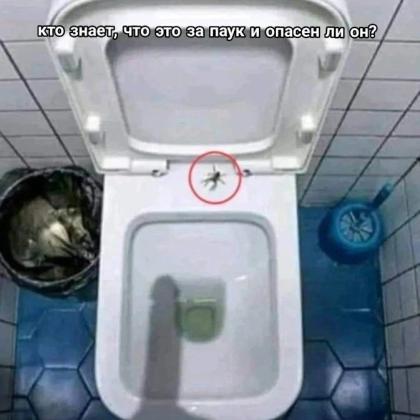Жанна