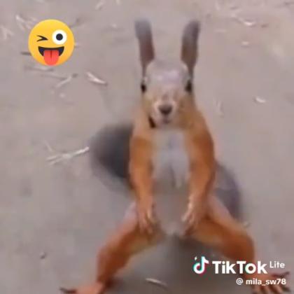 Белочка