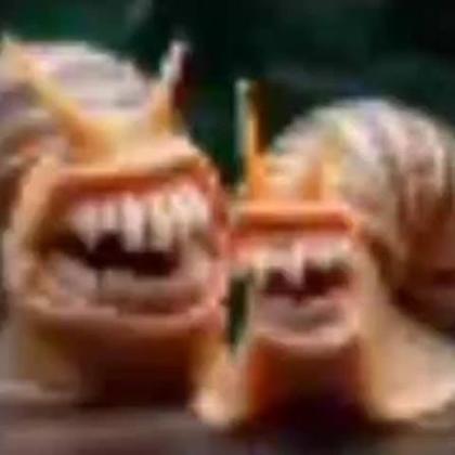 андрейволков