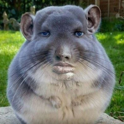 КакашкаХакер