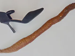 Какашка и туфелька