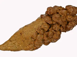 Короткая и толстая