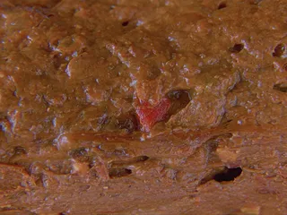 Покакала болгарским перцем