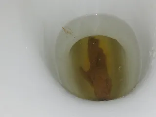 Paslaptingas kakutis