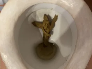 Колос