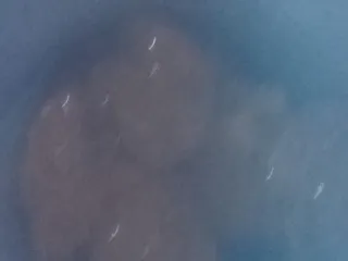 Шоколад