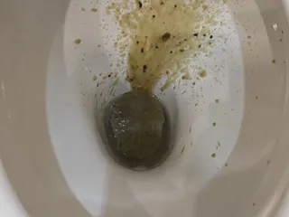 Шрек