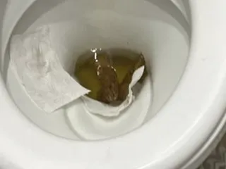 Смазливая парочка