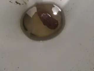 Покакал ночью