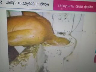 Говноед ест говно в унитазе