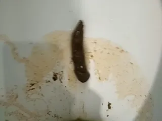 Какашка пенис