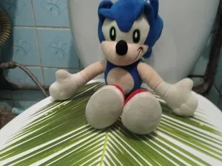 Соник какает