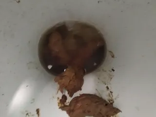 Кал