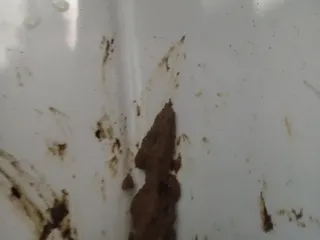 Стул