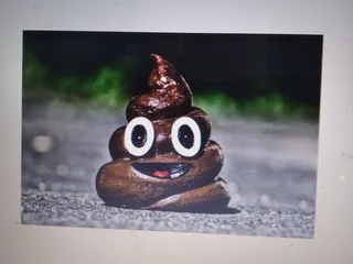 Какашка на дороге