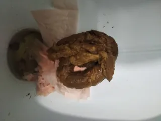 Рекорд