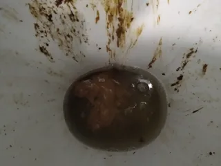 Какашка родилась на свет