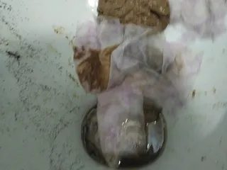 Какашки лепешки