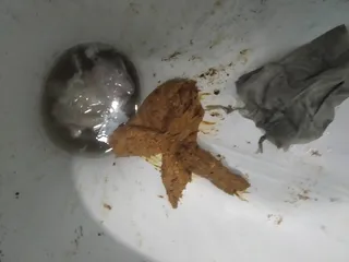 Мягкая какашка