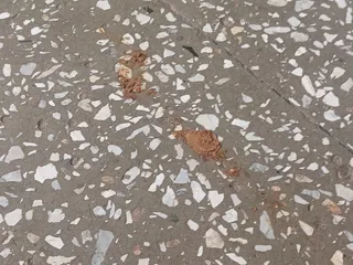 Школьная неожиданность