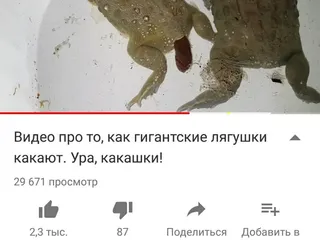 Лягушьи какашки