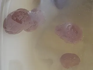 Какаськи