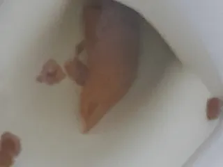 Колбоса и немного ошметок
