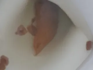 Кабаса