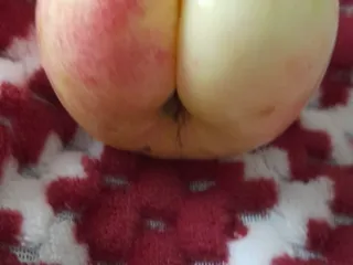 Яблоко