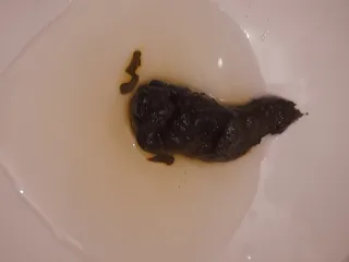 Колбоса