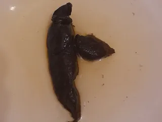 Сосиська