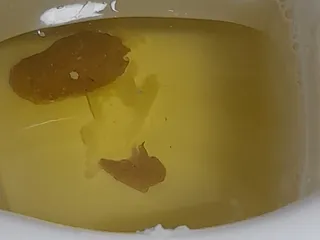 Говно