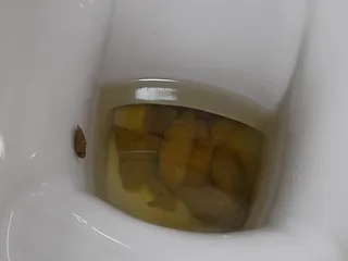 Какич