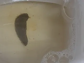 Какаська сосиська