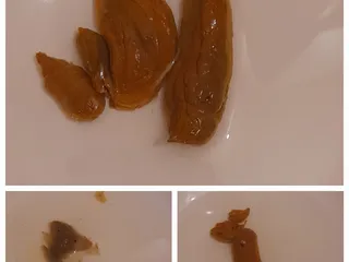 Мои какахи за этот день