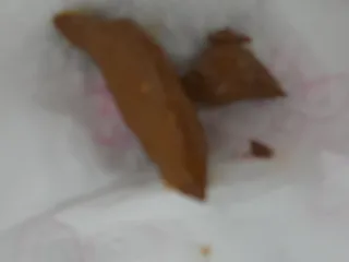 Снова на бумагу