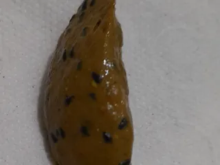 Какашка с семечками драгон фрукта