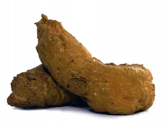 Разлетный плов