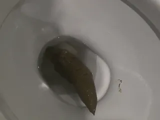Длина 19 см