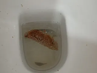 Школьная какашка