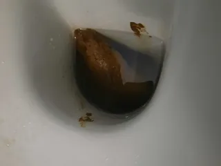 какашка после макарошек