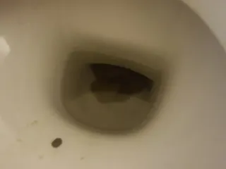 Капля от маэстро