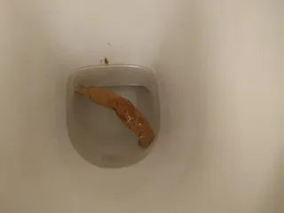 Сосика 1