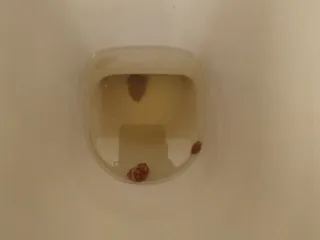 Трое