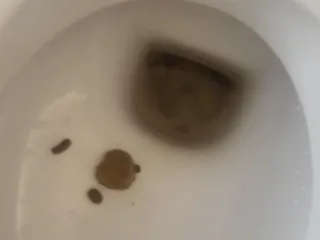 Растительные мотивы