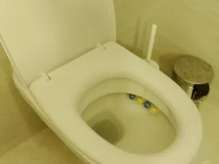 Мой туалет