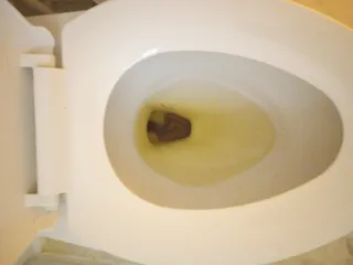 Ooo покакал