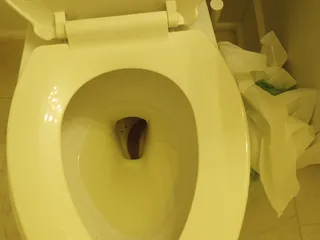 Pokakal