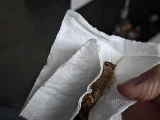 Срали с другом по звонку целый час